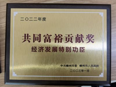 2022年度共同富裕貢獻獎經(jīng)濟發(fā)展特別功臣